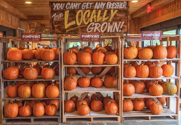The Best Fall Snacks featured image