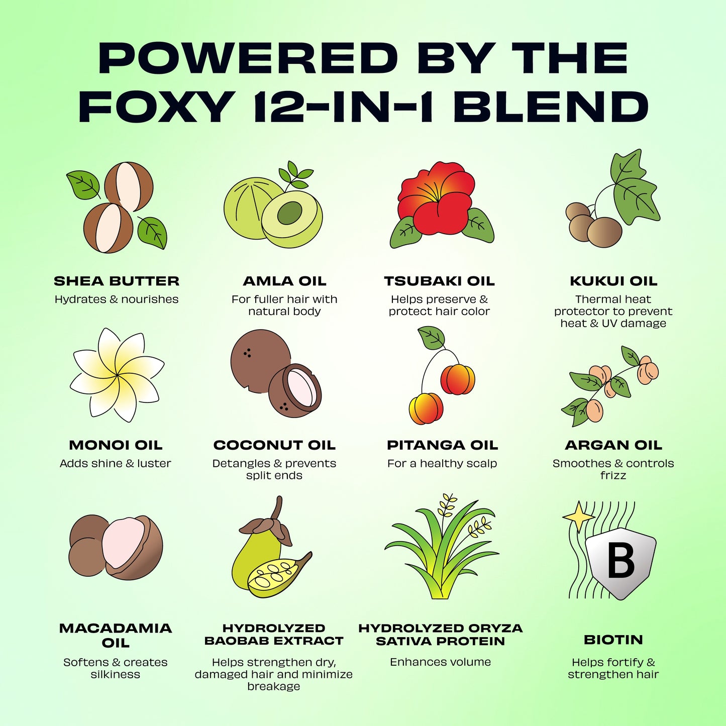 Bae Area Bounce Volumizing Shampoo