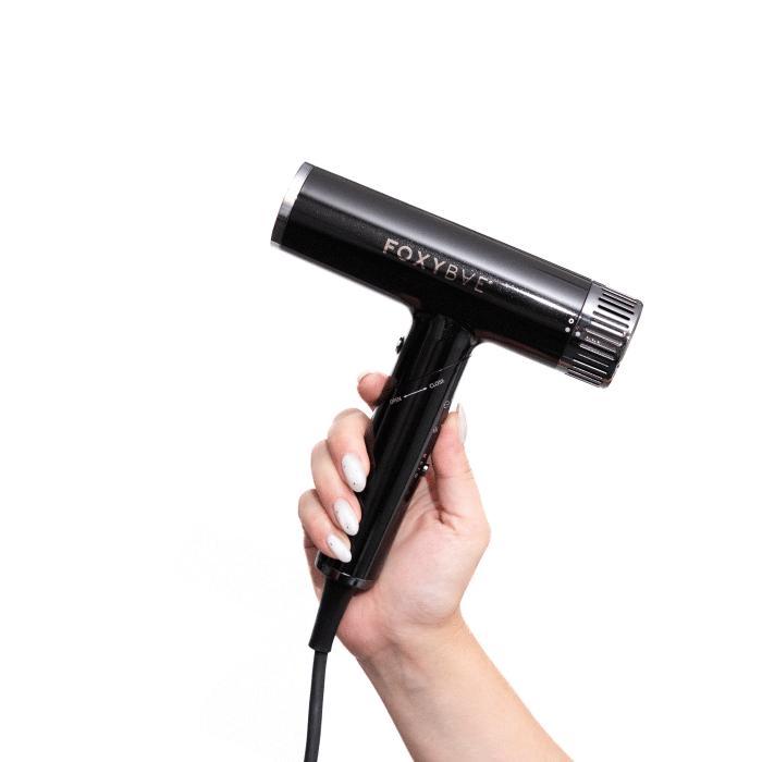 Globetrotter High Speed Ionic Hair Dryer